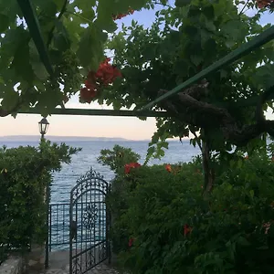 Margarita , Seget Vranjica Chorwacja